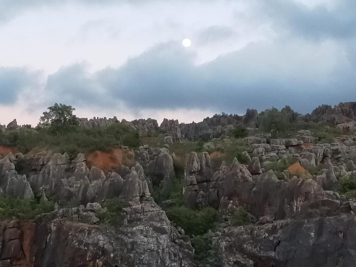 Casa Rural Nacimiento Del Hueznar - Tomillo 17 San Nicolás del Puerto エクステリア 写真