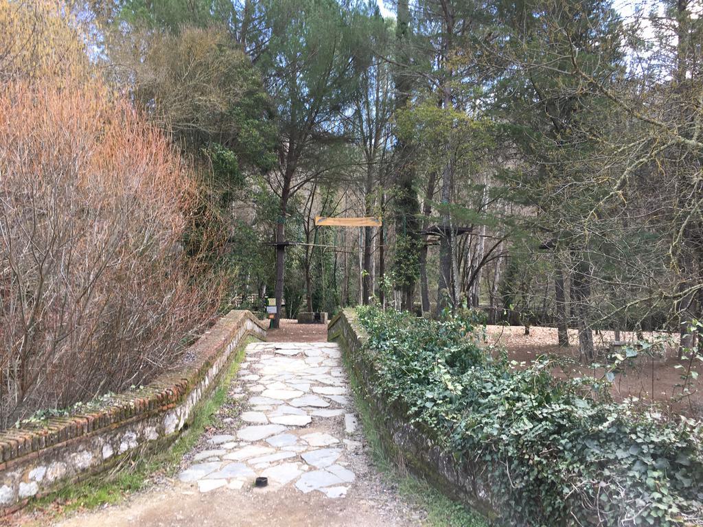 Casa Rural Nacimiento Del Hueznar - Tomillo 17 San Nicolás del Puerto エクステリア 写真